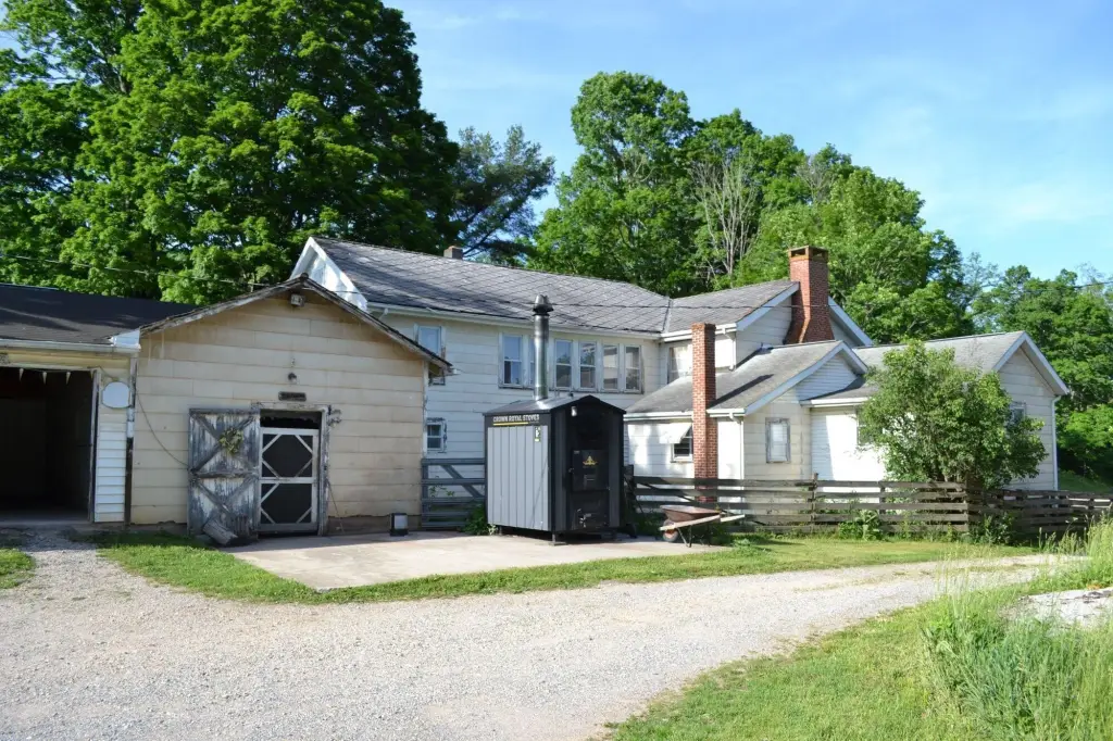 Picture 5