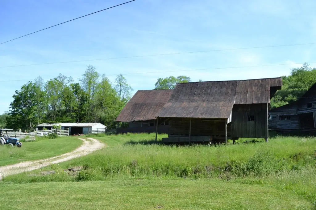 Picture 50
