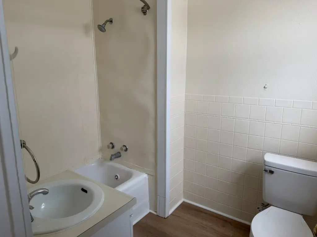Picture 26