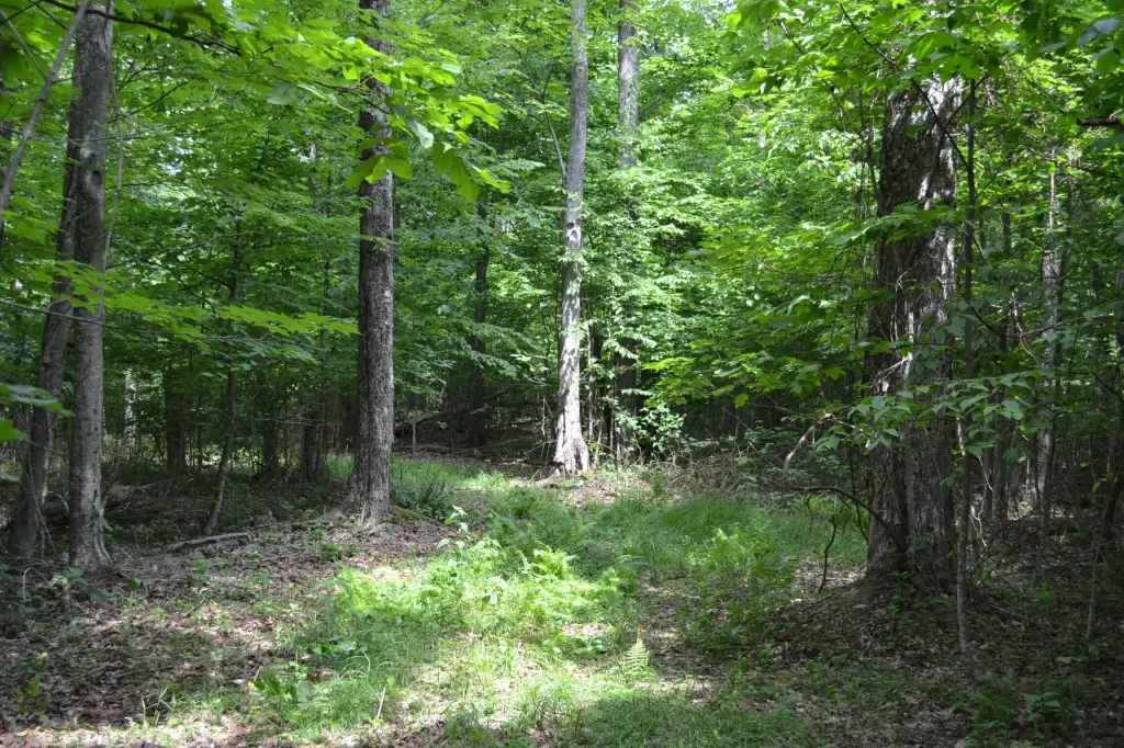 Picture 18