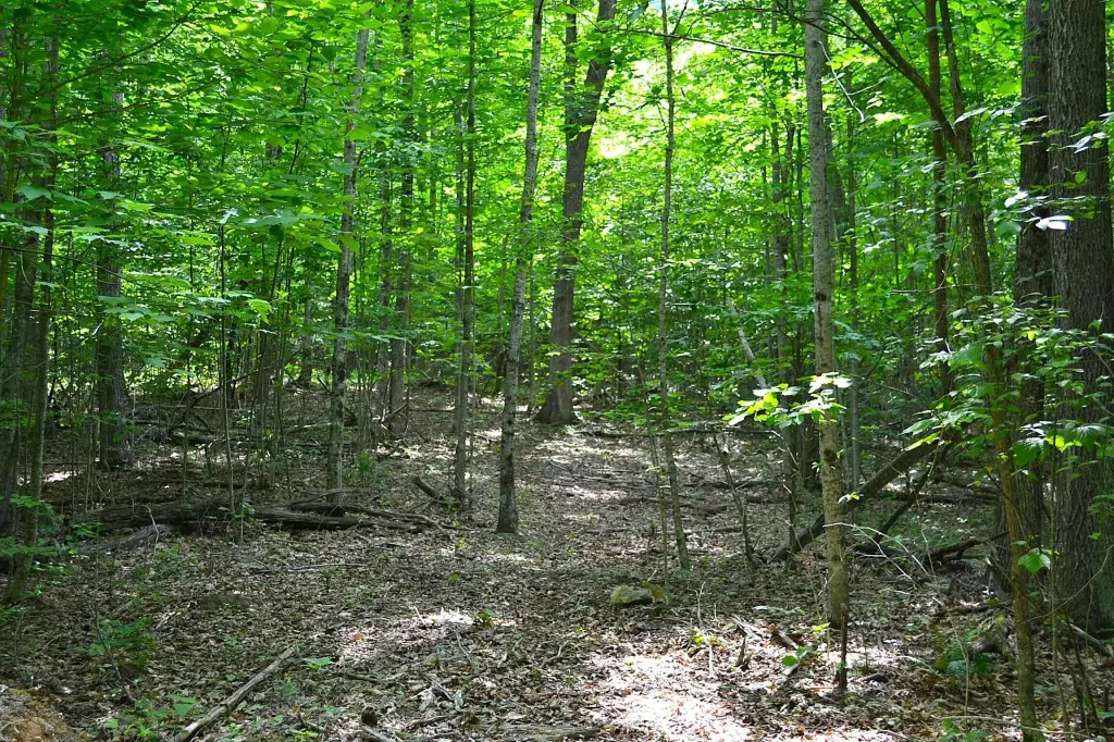 Picture 15