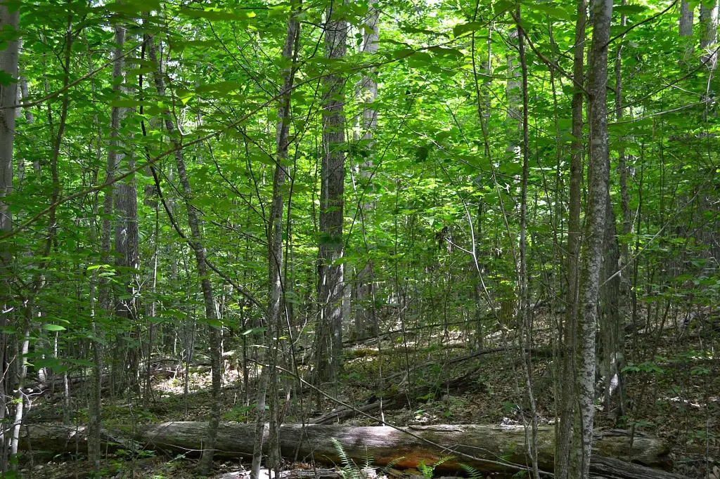 Picture 16
