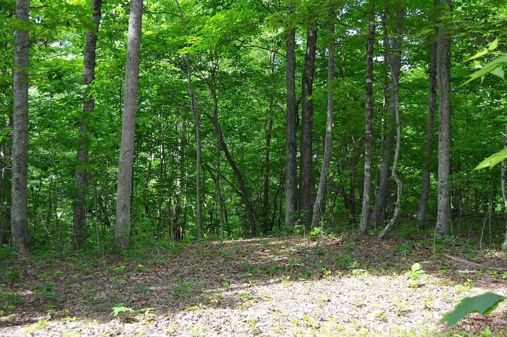 Picture 19