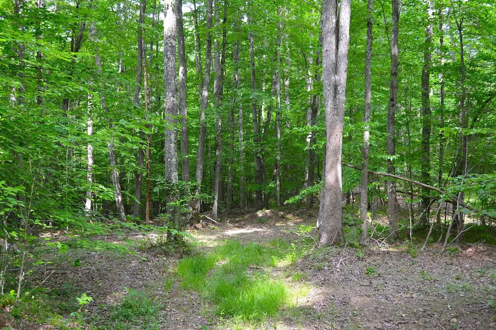 Picture 9
