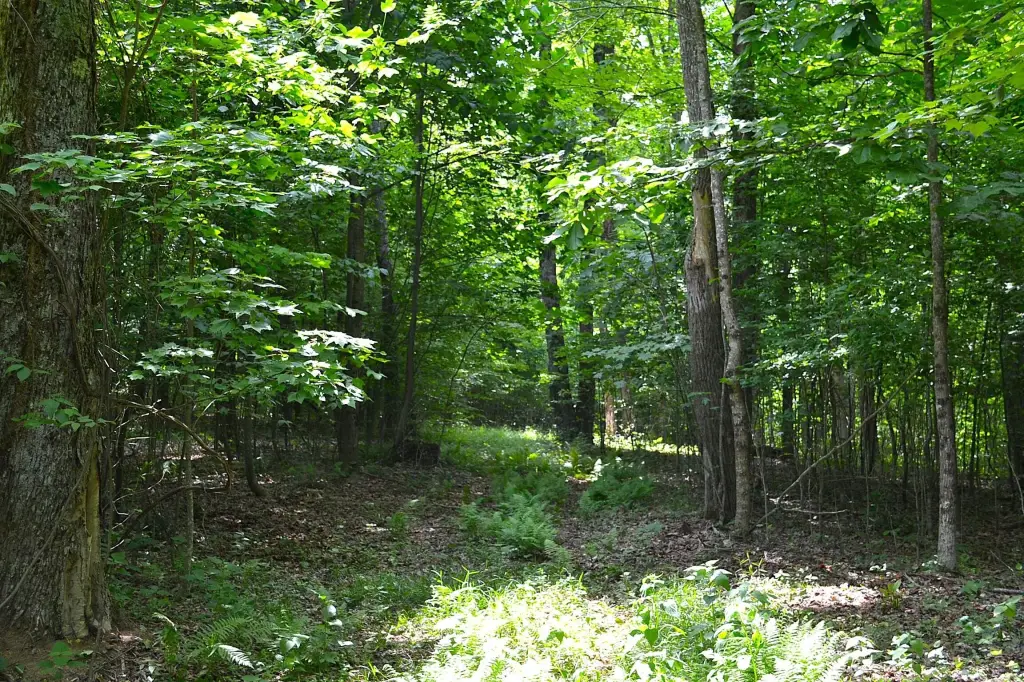 Picture 17