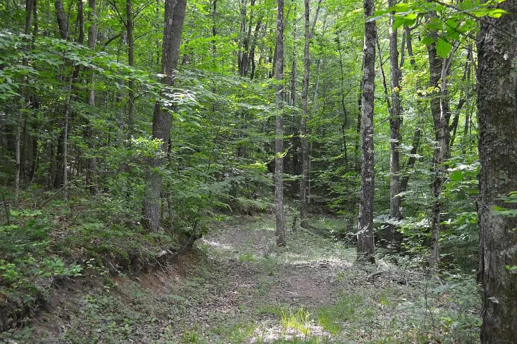 Picture 8