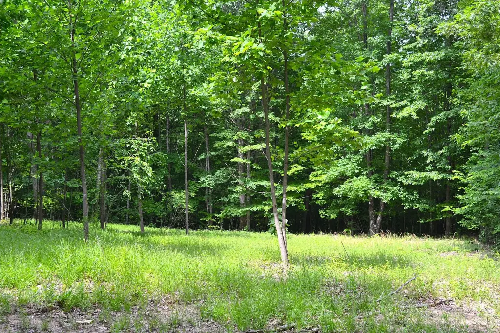 Picture 25