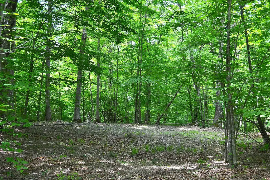 Picture 30