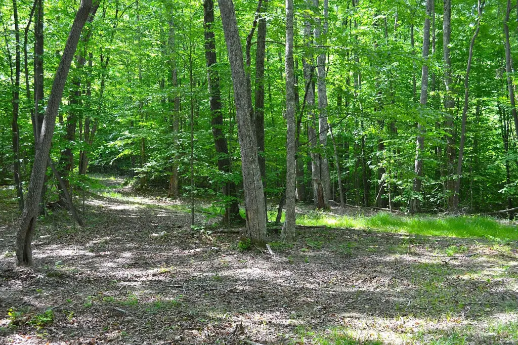 Picture 10