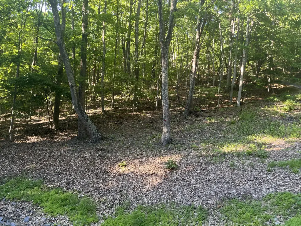 Picture 4