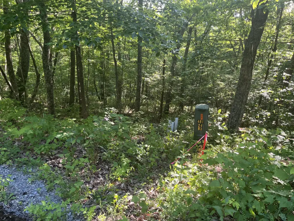 Picture 5