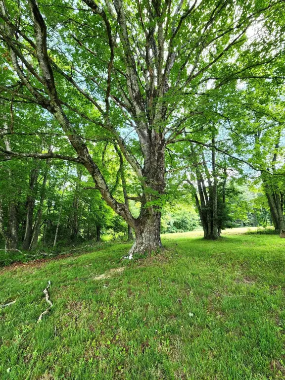 Picture 25