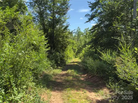 Bostic, NC Land Parcel