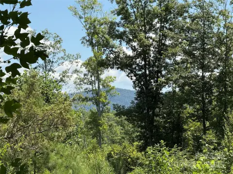 Bostic, NC Land Parcel