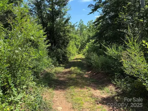 Land For Sale, Bostic, NC