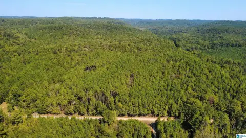 Hunting Land with Cabin