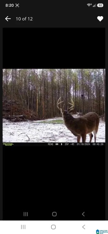 Picture 13