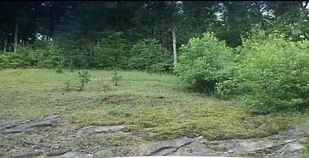 Picture 4