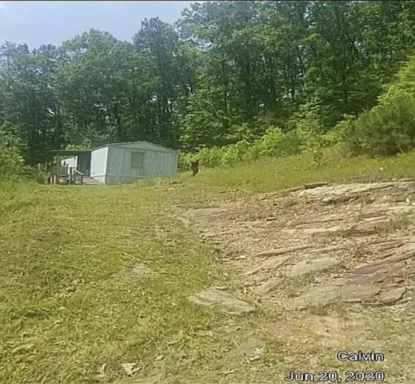 Picture 6