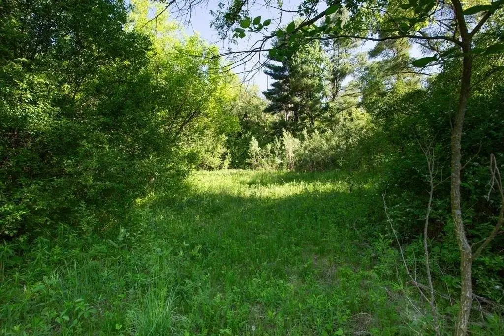Picture 4