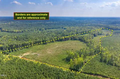 Pine-Planted Rural Land