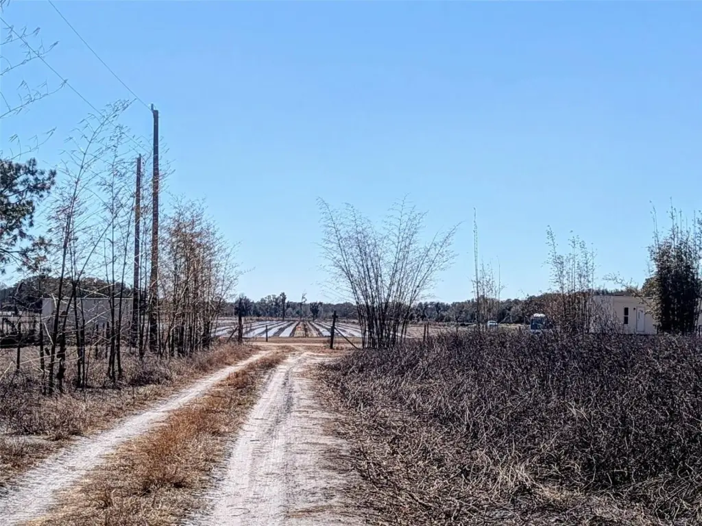 Picture 13