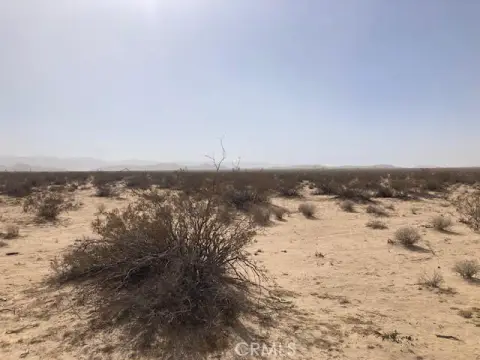 Joshua Tree Land Opportunity
