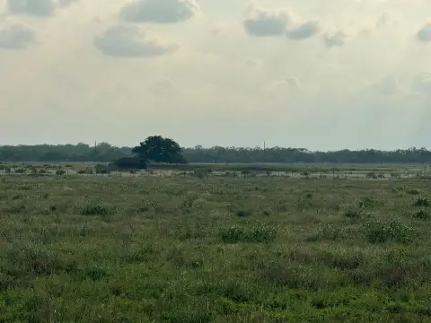 70 Acres of Texas Farmland