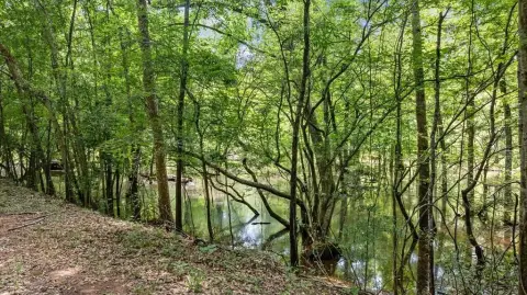 East Texas Hunting Land