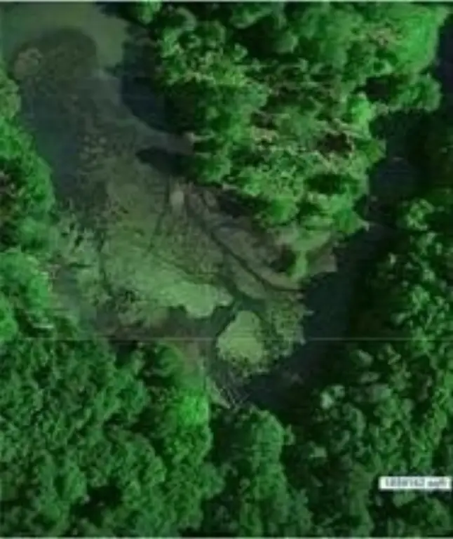 Picture 5