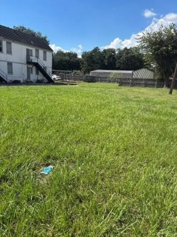 Picture 3