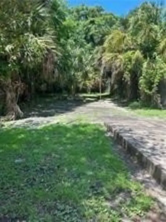 Picture 13