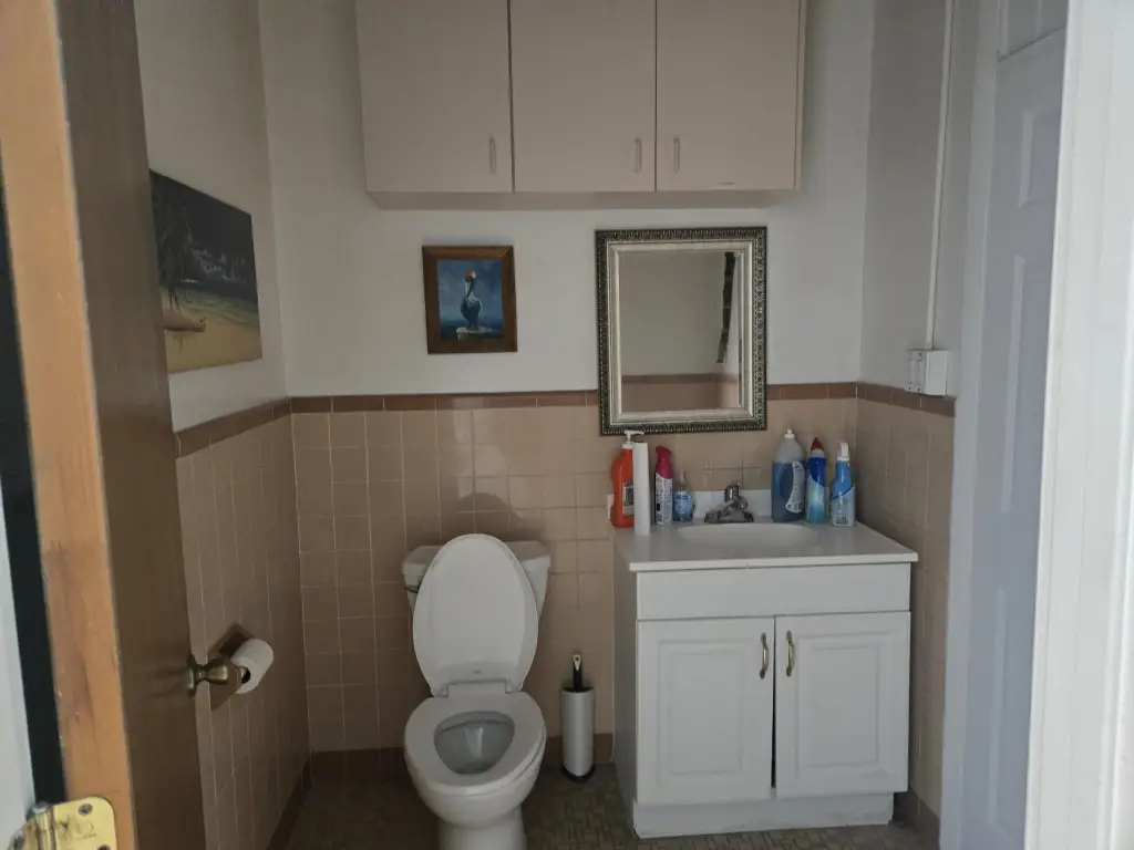 Picture 8