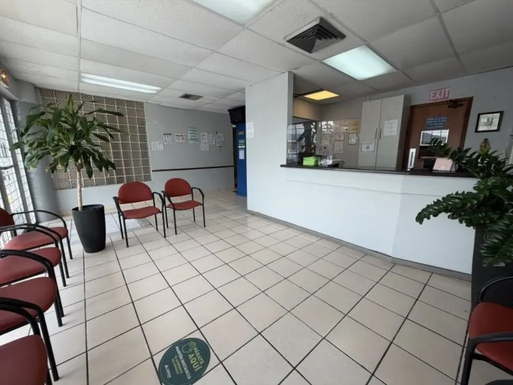 Picture 6