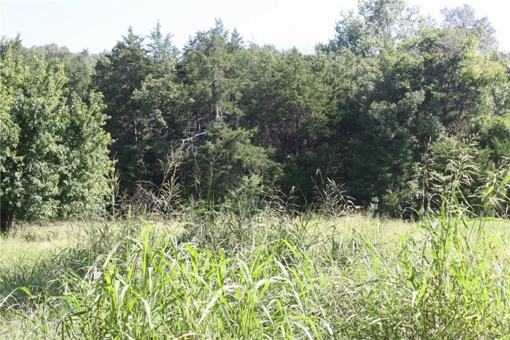 Picture 8