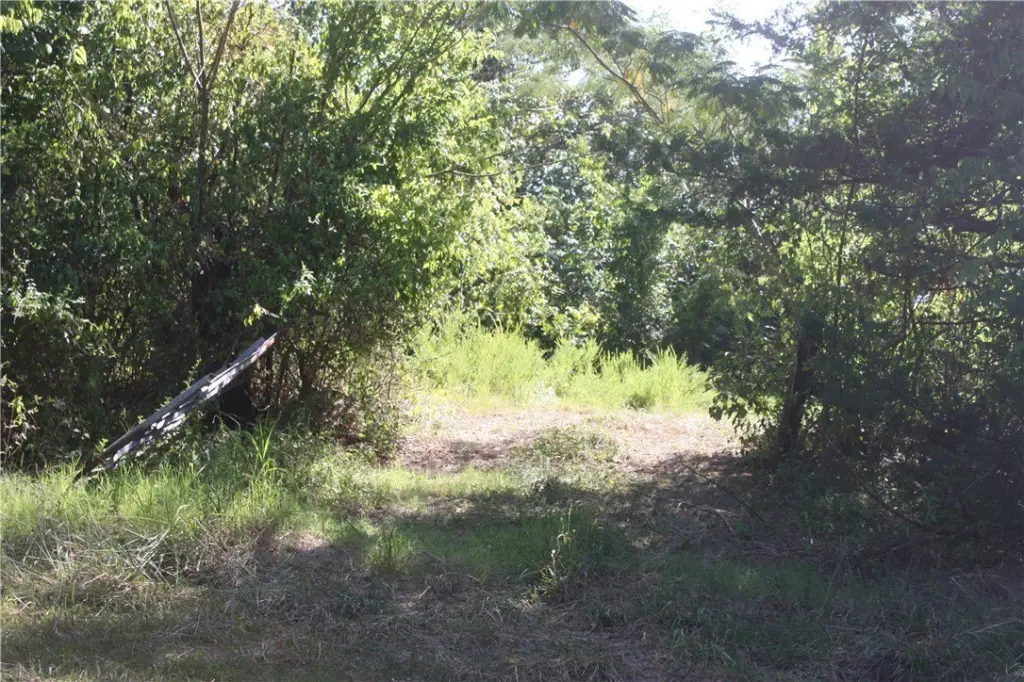 Picture 6