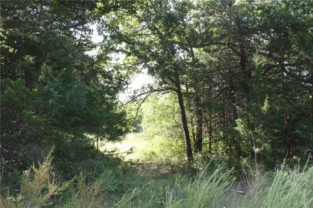 Picture 13
