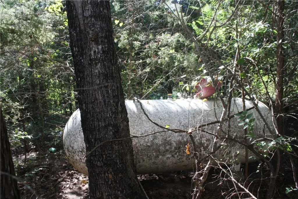 Picture 25
