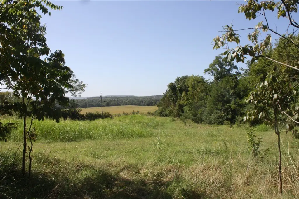 Picture 17