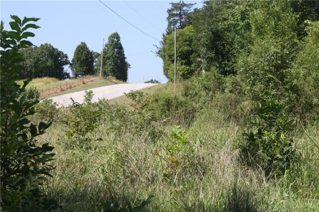 Picture 21