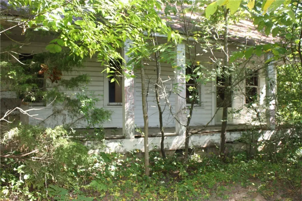 Picture 23