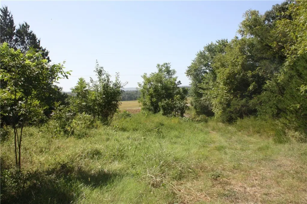 Picture 24
