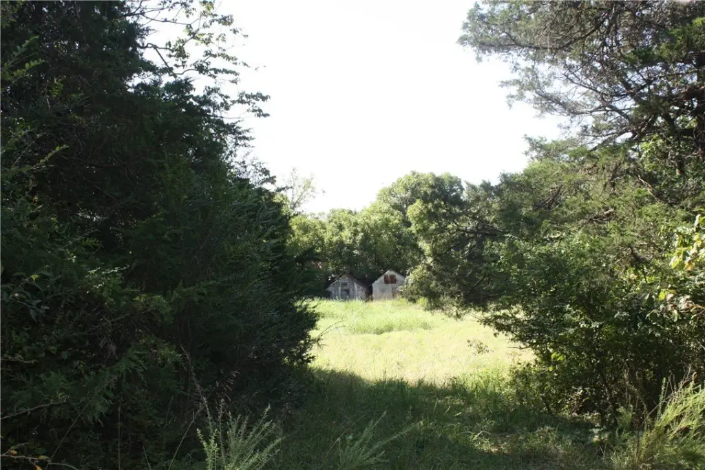 Picture 14