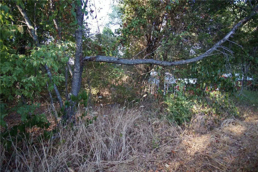 Picture 23