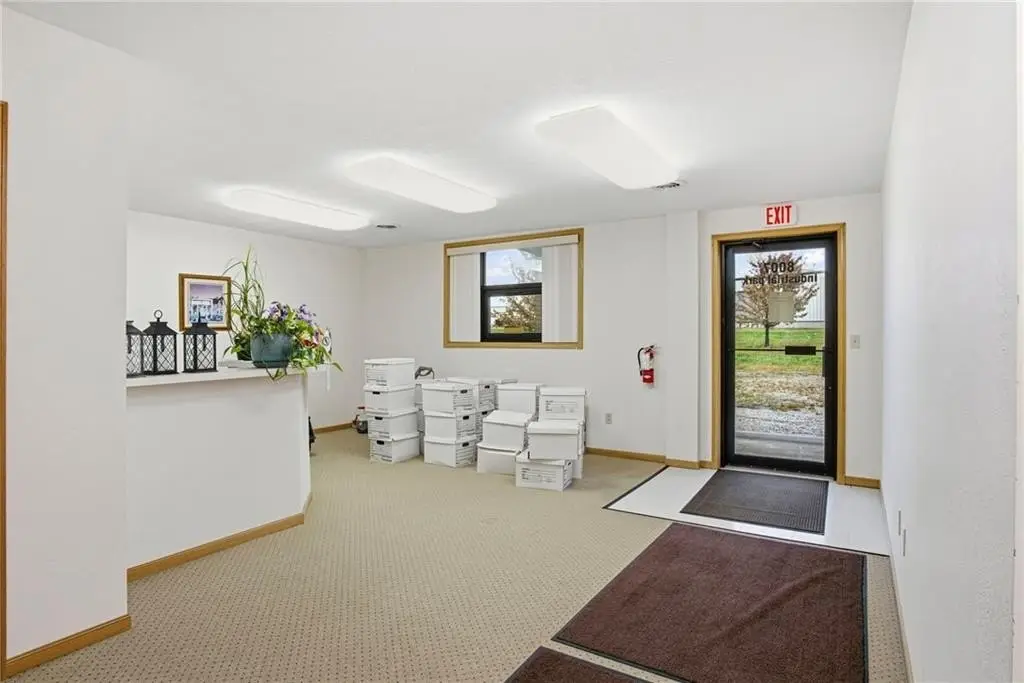 Picture 5