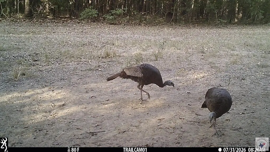 Picture 3
