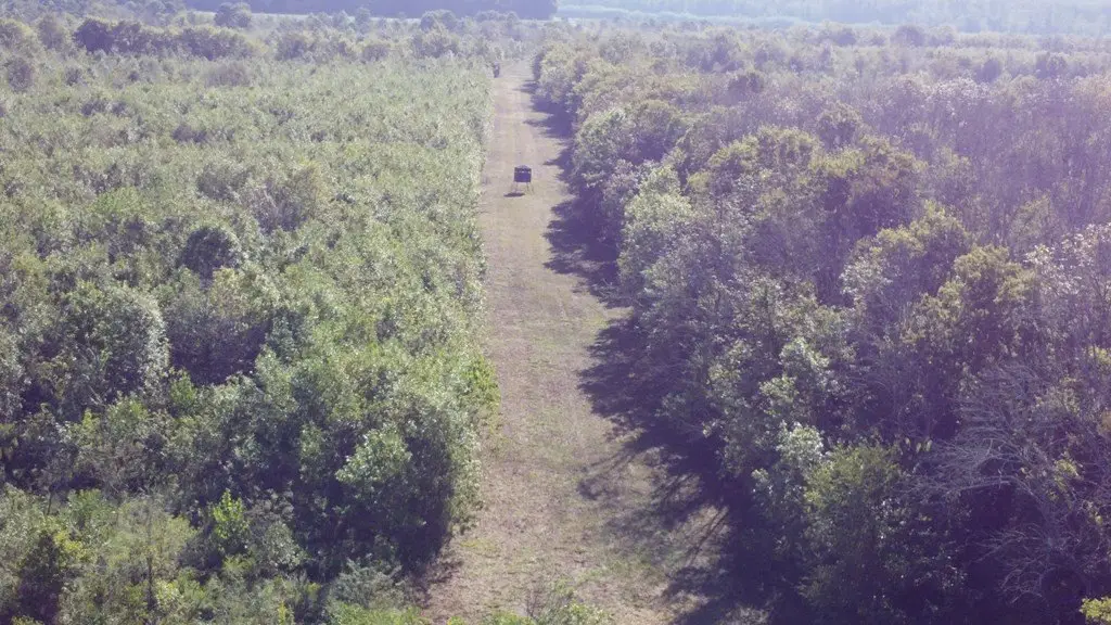 Picture 23