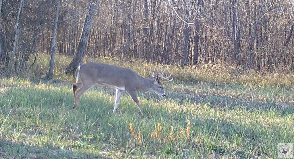 Picture 39