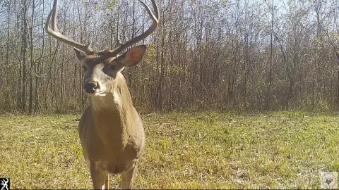 Hunting Land with Boat Access