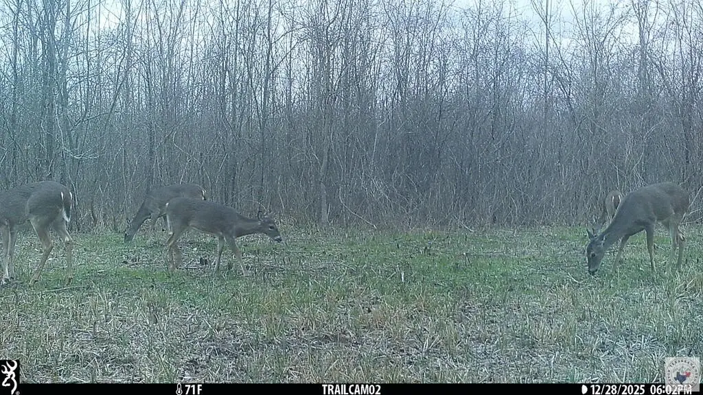 Picture 56